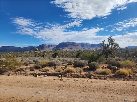 26555 N Yucca Rd, Meadview, AZ 86444
