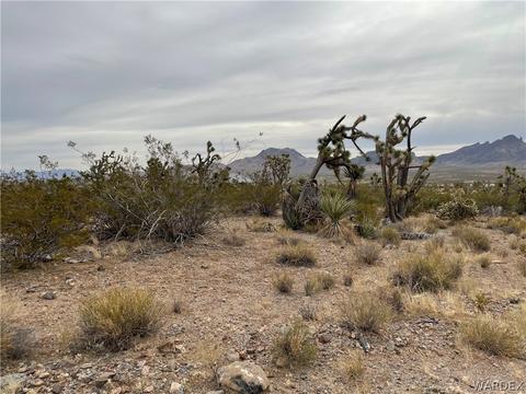 3 31 Acres N Laurel Rd, Dolan Springs, AZ 86441