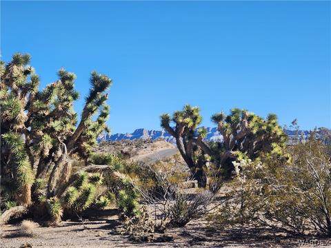 340 W Haystack, Meadview, AZ 86444 photo 55