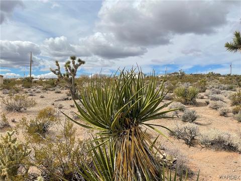 1310 E Stanton Dr, Meadview, AZ 86444 photo 5