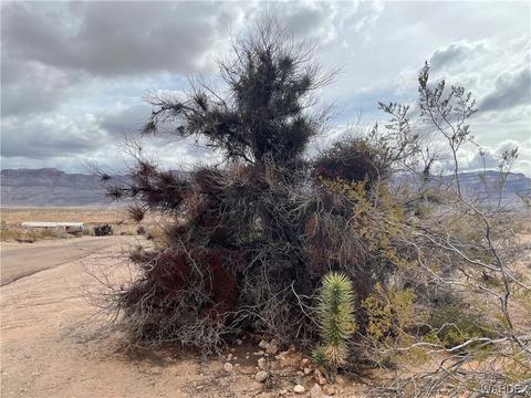 1310 E Stanton Dr, Meadview, AZ 86444 photo 3