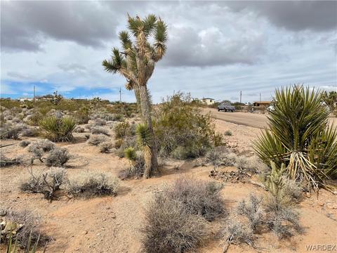 1310 E Stanton Dr, Meadview, AZ 86444 photo 6