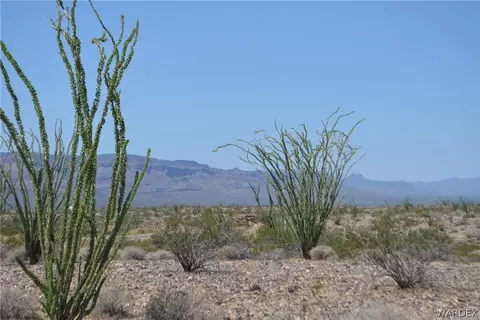 3007 S Alamo Rd, Yucca, AZ 86438