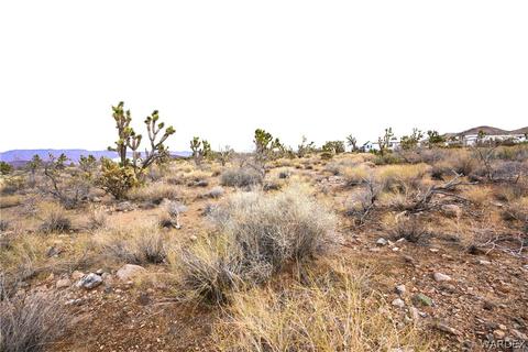 000 N Ruby Rd, Dolan Springs, AZ 86441