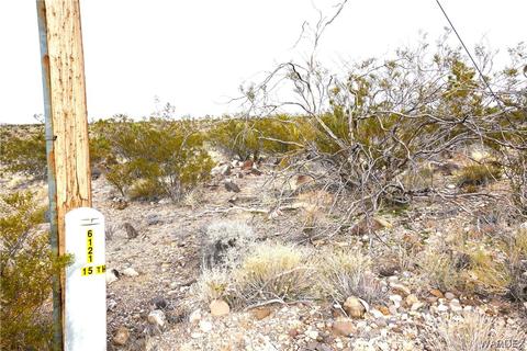 17000 N Maywood Dr, Dolan Springs, AZ 86441