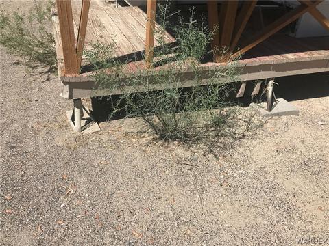 12137 S Second St, Yucca, AZ 86438 photo 28