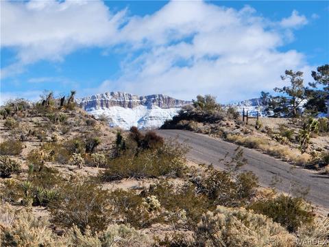 285 W Haystack Dr, Meadview, AZ 86444 photo 3