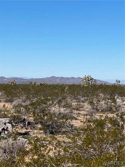 408 E Cholla # c, Yucca, AZ 86438 photo 8