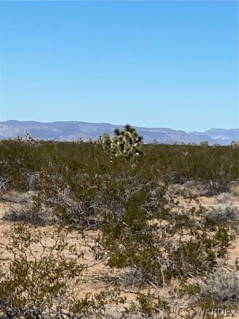 408 E Cholla # c, Yucca, AZ 86438 photo 9