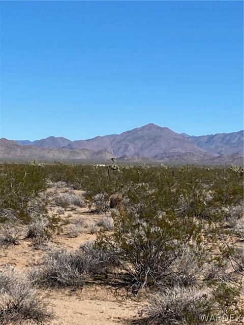 408 E Cholla # c, Yucca, AZ 86438