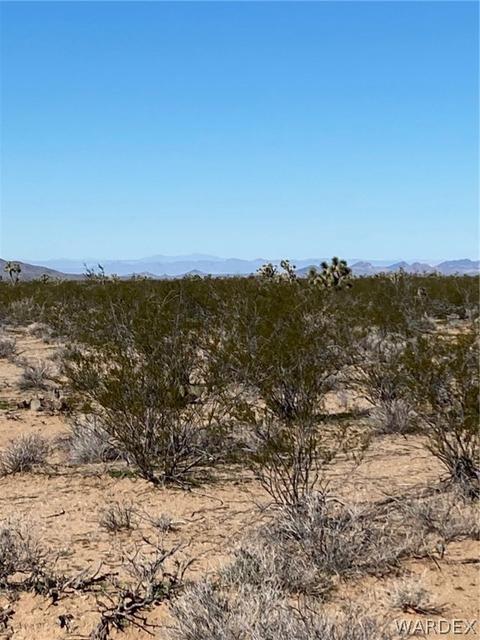 408 E Cholla # c, Yucca, AZ 86438 photo 4