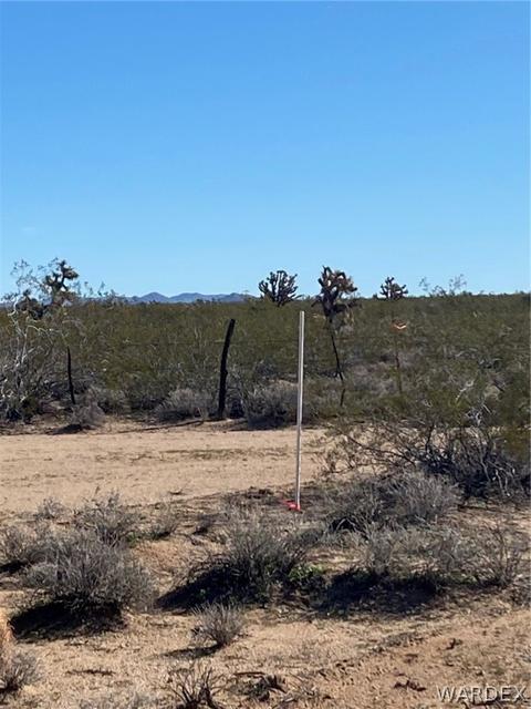 408 E Cholla # c, Yucca, AZ 86438 photo 6