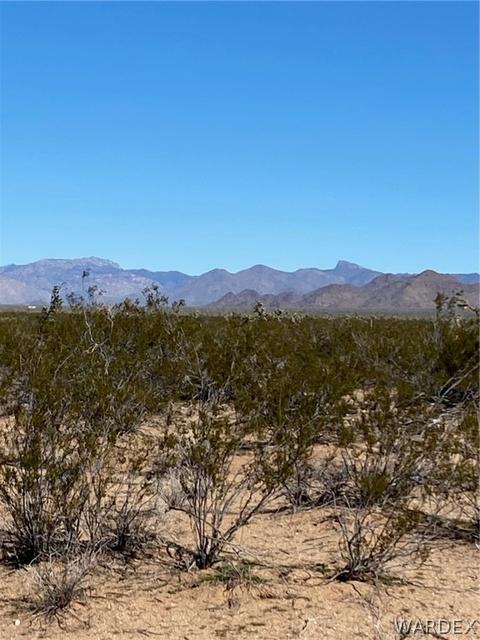 408 E Cholla # c, Yucca, AZ 86438 photo 2