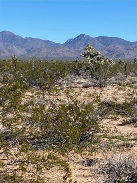 408 E Cholla # c, Yucca, AZ 86438 photo 3