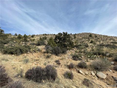 10751 E Pine Valley Dr, Hackberry, AZ 86411 photo 11