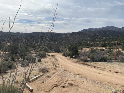 10751 E Pine Valley Dr, Hackberry, AZ 86411 photo 31