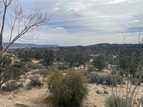 10751 E Pine Valley Dr, Hackberry, AZ 86411 photo 30