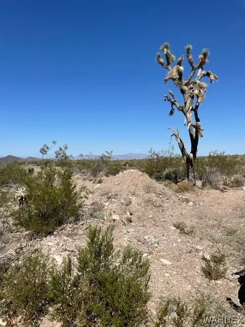 L 16 Leonard Drive, White Hills, AZ 86445