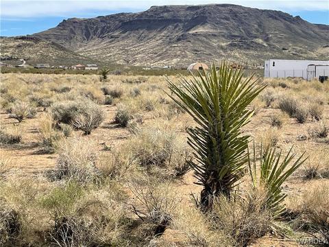0 S Brink Cir, Golden Valley, AZ 86413