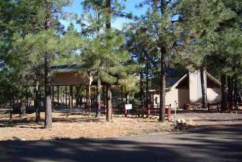 2846 Silver Dollar, Overgaard, AZ 85933 photo 6
