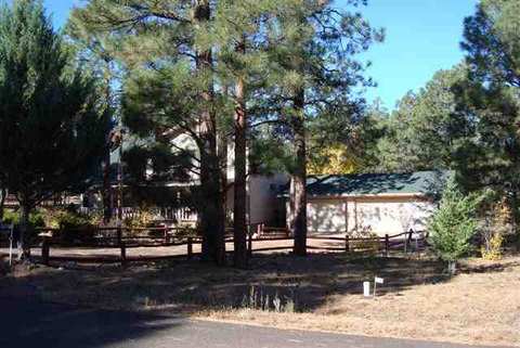 2846 Silver Dollar, Overgaard, AZ 85933 photo 7