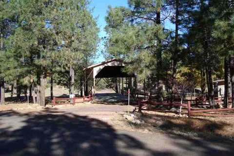 2846 Silver Dollar, Overgaard, AZ 85933 photo 4