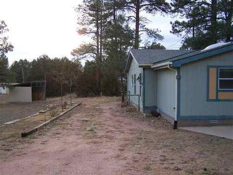 3458 Deer Track Trl, Overgaard, AZ 85933 photo 2