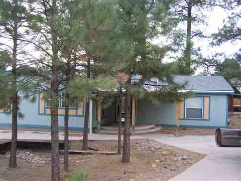 3458 Deer Track Trl, Overgaard, AZ 85933 photo 1