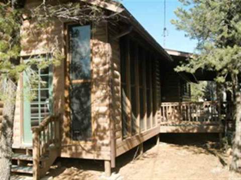 3345 Cedar Dr, Overgaard, AZ 85933 photo 5