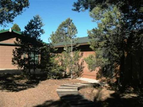 3345 Cedar Dr, Overgaard, AZ 85933 photo 2