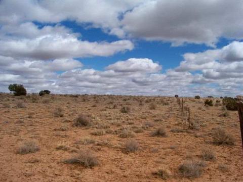 4061 Clyde, Snowflake, AZ 85937 photo 2