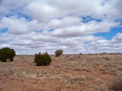 4061 Clyde, Snowflake, AZ 85937 photo 1