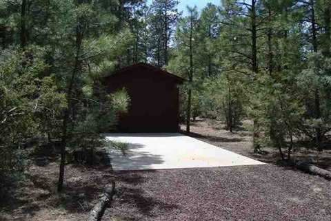 2880 Little Hawk, Overgaard, AZ 85933 photo 7