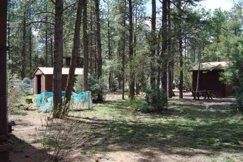 2880 Little Hawk, Overgaard, AZ 85933 photo 8