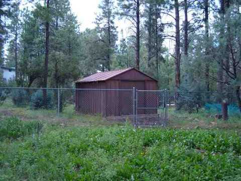 2880 Little Hawk, Overgaard, AZ 85933 photo 9