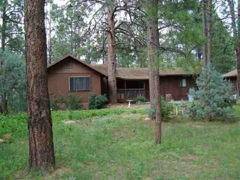 2880 Little Hawk, Overgaard, AZ 85933 photo 1