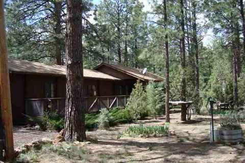 2880 Little Hawk, Overgaard, AZ 85933 photo 3