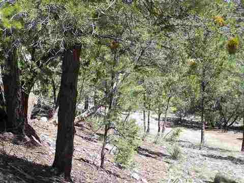 3337 Panorama Dr, Overgaard, AZ 85933 photo 8