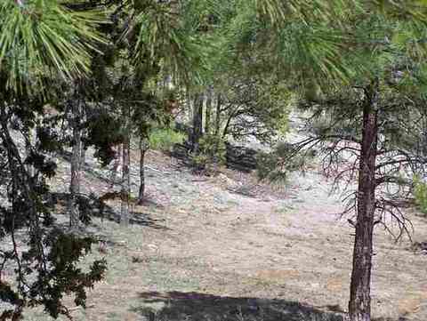 3337 Panorama Dr, Overgaard, AZ 85933 photo 9