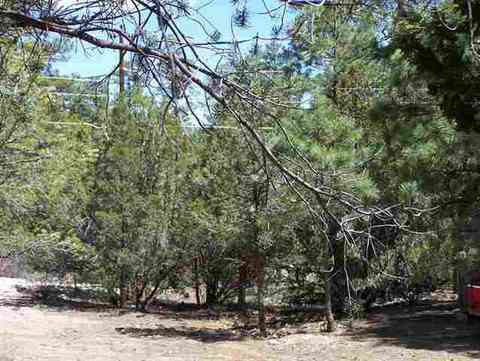 3337 Panorama Dr, Overgaard, AZ 85933 photo 6