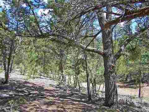 3337 Panorama Dr, Overgaard, AZ 85933 photo 1