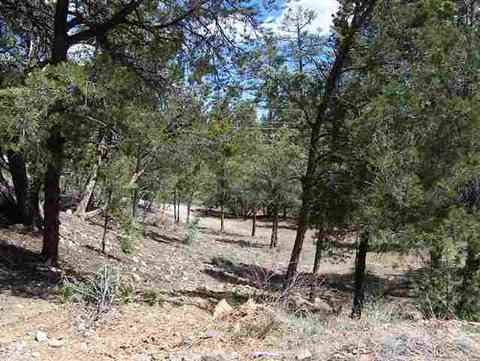 3337 Panorama Dr, Overgaard, AZ 85933 photo 2