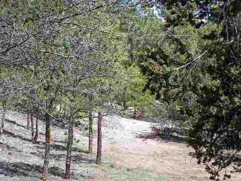 3337 Panorama Dr, Overgaard, AZ 85933 photo 7
