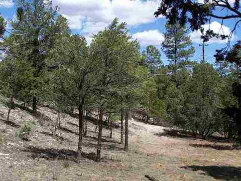 3337 Panorama Dr, Overgaard, AZ 85933 photo 5