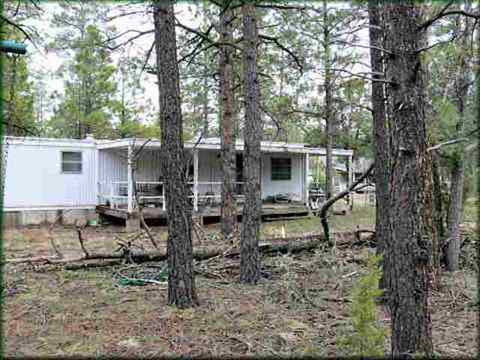 2869 Little Hawk Trl, Overgaard, AZ 85933 photo 1