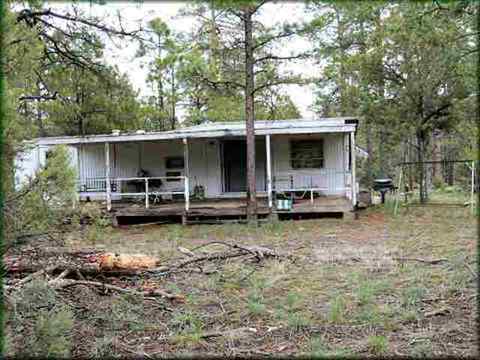 2869 Little Hawk Trl, Overgaard, AZ 85933 photo 3