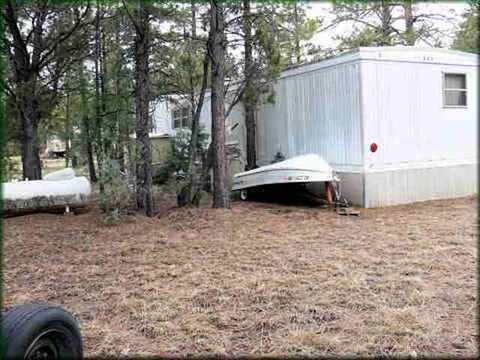 2869 Little Hawk Trl, Overgaard, AZ 85933 photo 4