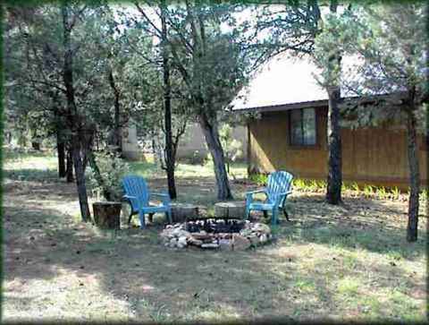 2948 Deer Trl, Overgaard, AZ 85933 photo 3