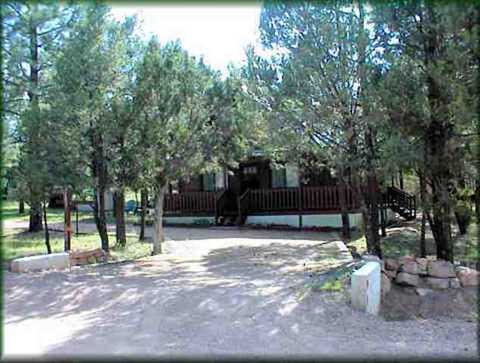 2948 Deer Trl, Overgaard, AZ 85933 photo 5