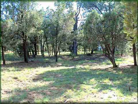 2948 Deer Trl, Overgaard, AZ 85933 photo 9